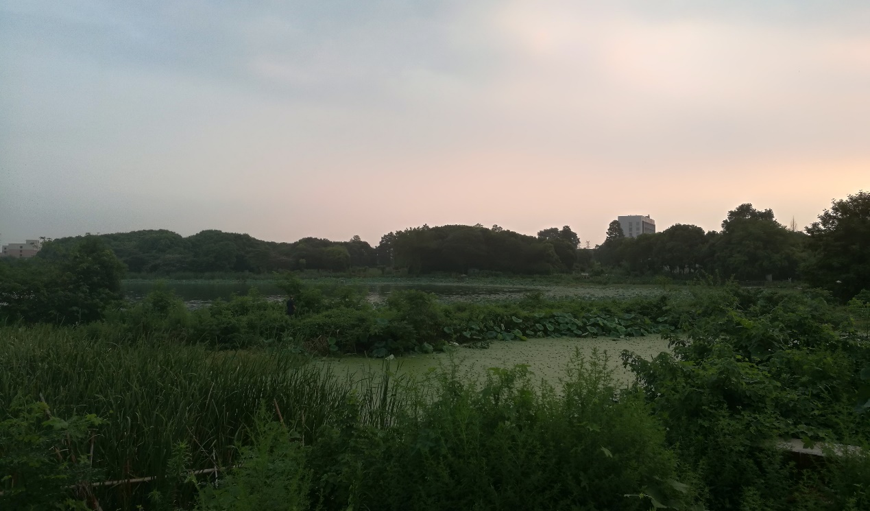 中钢建发签订严西湖北岸水环境及生态修复工程（一期)一标段项目合同